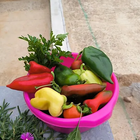 With Pool, Accessible For People With Disabilities, Near Zadar * Bibinje