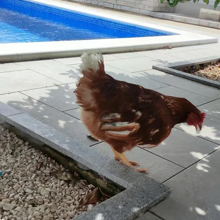 شقة With Pool, Accessible For People With Disabilities, Near Zadar