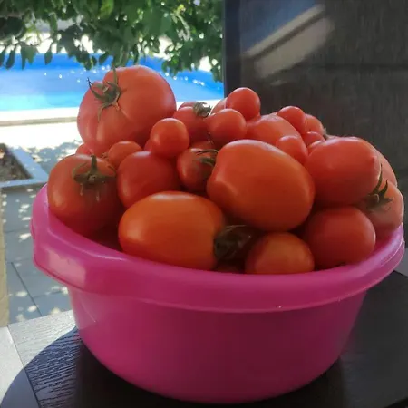 With Pool, Accessible For People With Disabilities, Near Zadar * Bibinje