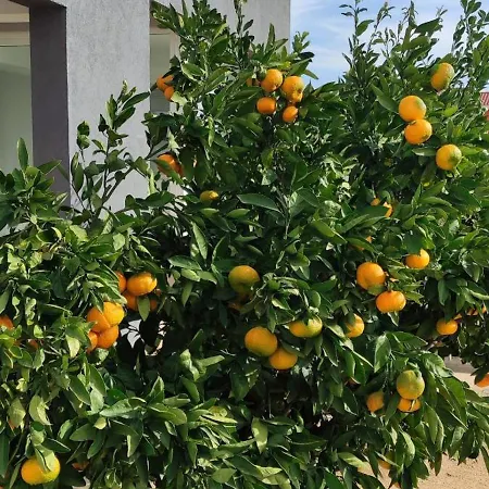 Lejlighed With Pool, Accessible For People With Disabilities, Near Zadar *